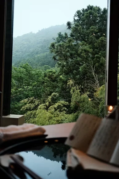 Forest view photographed from a room at Kinnotake Tonosawa